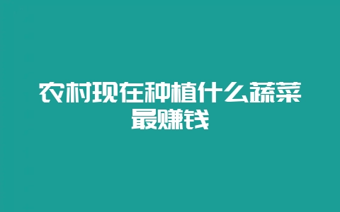 农村现在种植什么蔬菜最赚钱-会东网