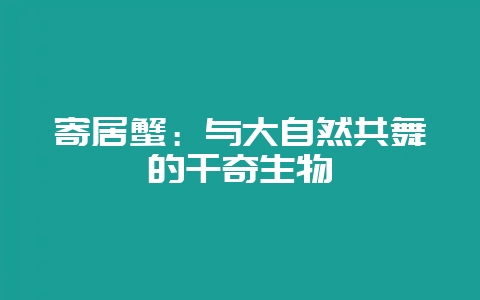寄居蟹:与大自然共舞的千奇生物插图 寄居蟹:与大自然共舞的千奇生物插图