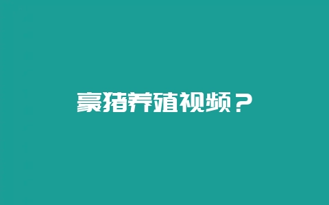 豪猪养殖视频？-会东网