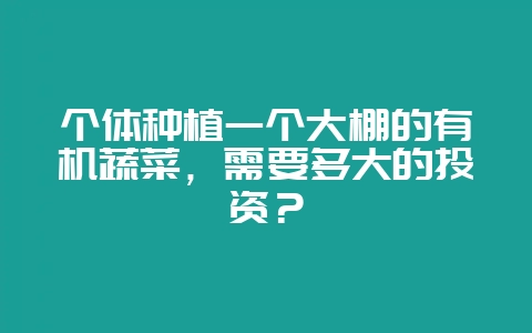 个体种植一个大棚的有机蔬菜，需要多大的投资？-会东网