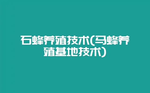 石蜂养殖技术(马蜂养殖基地技术)-会东网