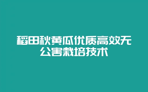 稻田秋黄瓜优质高效无公害栽培技术插图 稻田秋黄瓜优质高效无公害栽培技术插图
