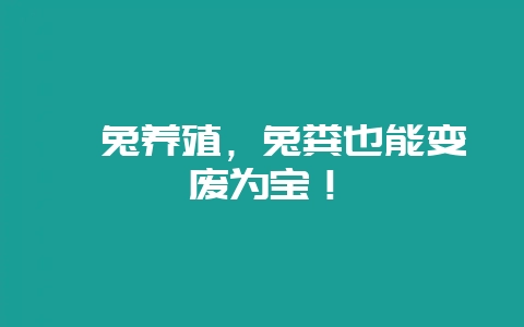 獭兔养殖,兔粪也能变废为宝!-会东网
