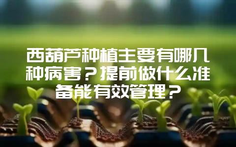 西葫芦种植主要有哪几种病害？提前做什么准备能有效管理？-会东网