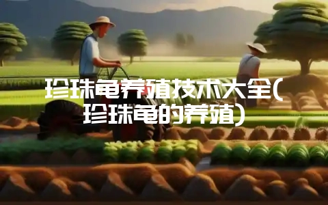 珍珠龟养殖技术大全(珍珠龟的养殖)-会东网