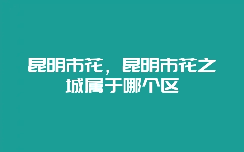 昆明市花,昆明市花之城属于哪个区插图 昆明市花,昆明市花之城属于哪个区插图