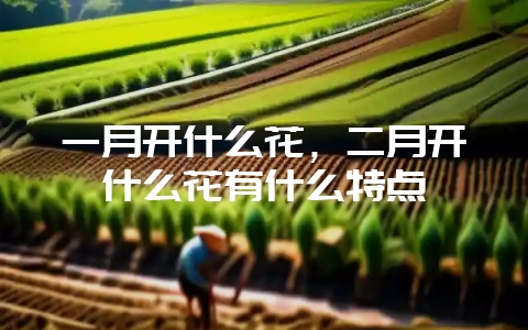 一月开什么花，二月开什么花有什么特点-会东网