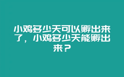 小鸡多少天可以孵出来了,小鸡多少天能孵出来?-会东网