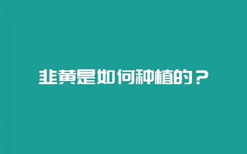 韭黄是如何种植的？-会东网