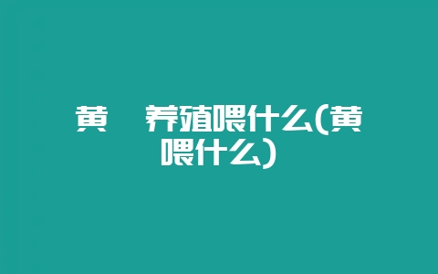 黄鳝养殖喂什么(黄鳝喂什么)-会东网
