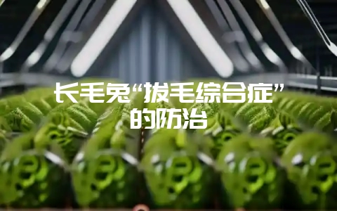 长毛兔“拔毛综合症”的防治-会东网