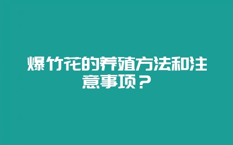 爆竹花的养殖方法和注意事项？-会东网