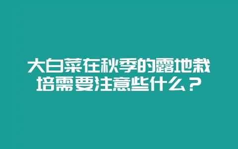 大白菜在秋季的露地栽培需要注意些什么?插图 大白菜在秋季的露地栽培需要注意些什么?插图