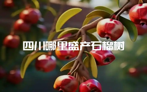四川哪里盛产石榴树-会东网