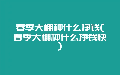 春季大棚种什么挣钱(春季大棚种什么挣钱快)-会东网