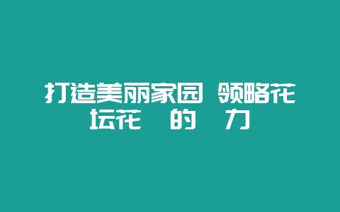 打造美丽家园 领略花坛花卉的魅力-会东网