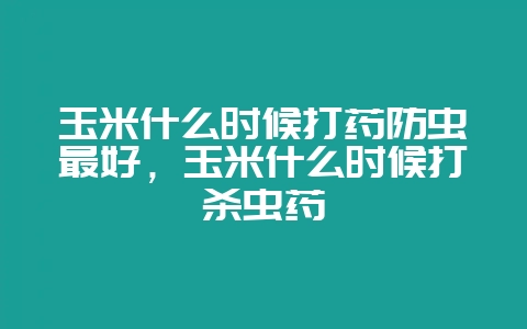 玉米什么时候打药防虫最好，玉米什么时候打杀虫药-会东网