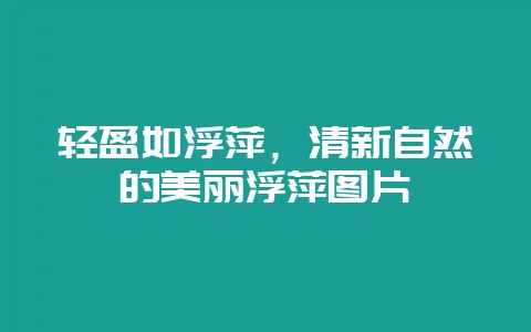 轻盈如浮萍，清新自然的美丽浮萍图片-会东网