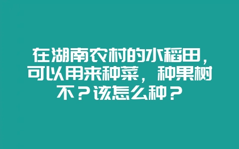 在湖南农村的水稻田，可以用来种菜，种果树不？该怎么种？-会东网