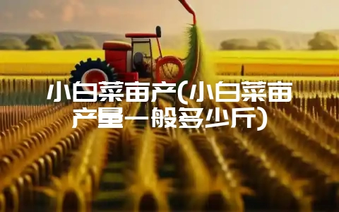 小白菜亩产(小白菜亩产量一般多少斤)-会东网