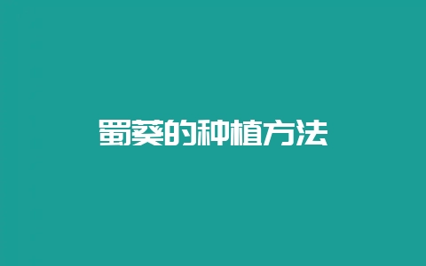蜀葵的种植方法-会东网