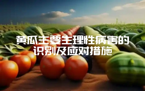 黄瓜主要生理性病害的识别及应对措施-会东网