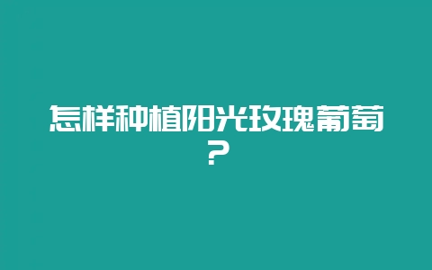 怎样种植阳光玫瑰葡萄？-会东网