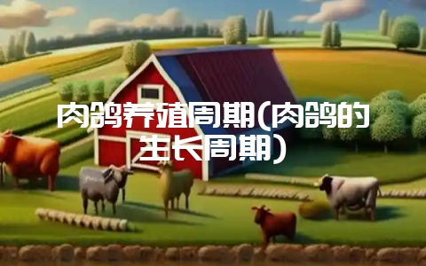 肉鸽养殖周期(肉鸽的生长周期)-会东网
