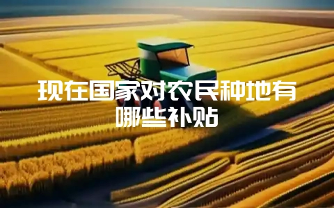 现在国家对农民种地有哪些补贴-会东网