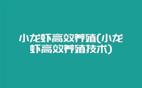 小龙虾高效养殖(小龙虾高效养殖技术)-会东网