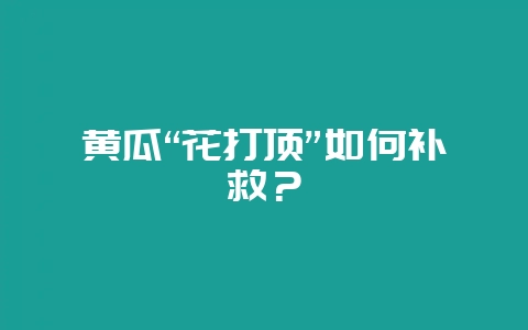 黄瓜“花打顶”如何补救？-会东网