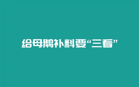给母鹅补料要“三看”-会东网