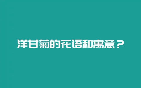 洋甘菊的花语和寓意？-会东网