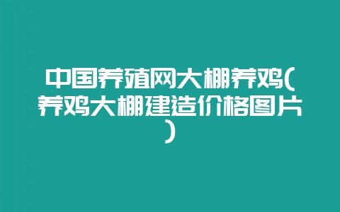 中国养殖网大棚养鸡(养鸡大棚建造价格图片)-会东网