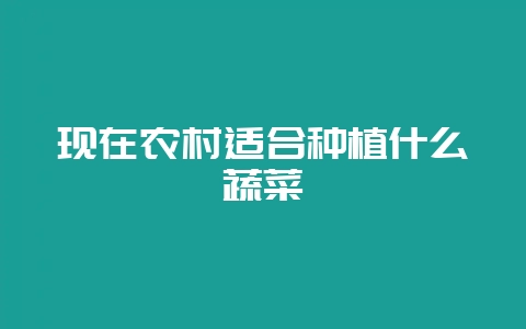 现在农村适合种植什么蔬菜-会东网