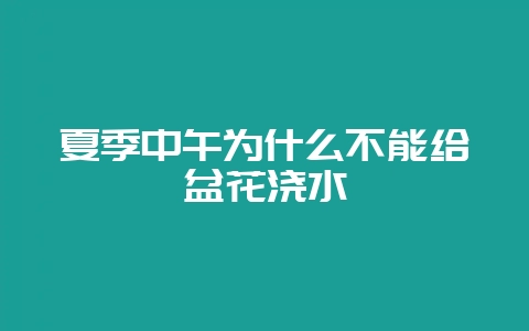 夏季中午为什么不能给盆花浇水-会东网