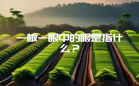 一板一眼中的眼是指什么?插图 一板一眼中的眼是指什么?插图