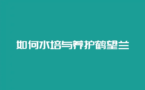 如何水培与养护鹤望兰-会东网
