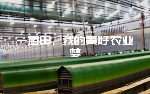 一亩田，我的美好农业梦-会东网