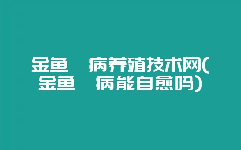 金鱼鳃病养殖技术网(金鱼鳃病能自愈吗)-会东网