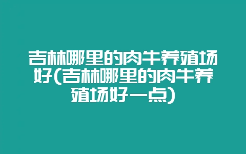 吉林哪里的肉牛养殖场好(吉林哪里的肉牛养殖场好一点)-会东网