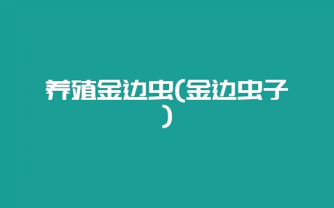 养殖金边虫(金边虫子)-会东网