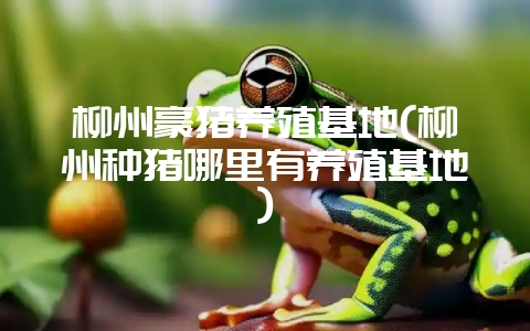 柳州豪猪养殖基地(柳州种猪哪里有养殖基地)插图 柳州豪猪养殖基地(柳州种猪哪里有养殖基地)插图