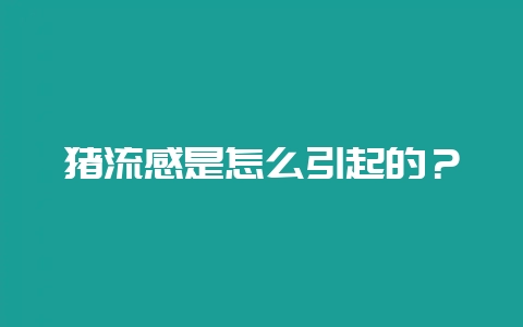 猪流感是怎么引起的？-会东网