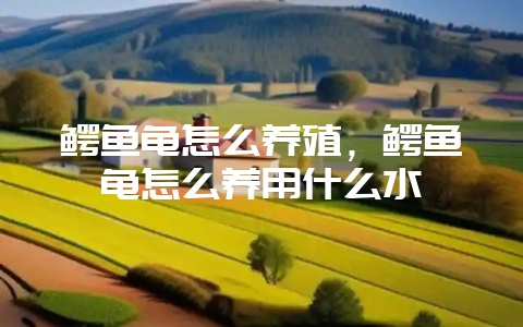 鳄鱼龟怎么养殖，鳄鱼龟怎么养用什么水-会东网