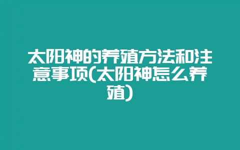 太阳神的养殖方法和注意事项(太阳神怎么养殖)-会东网