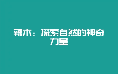 辣木:探索自然的神奇力量插图 辣木:探索自然的神奇力量插图