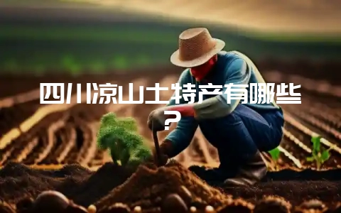 四川凉山土特产有哪些？-会东网