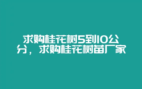 求购桂花树5到10公分，求购桂花树苗厂家-会东网