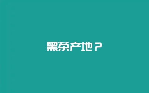 黑茶产地？-会东网